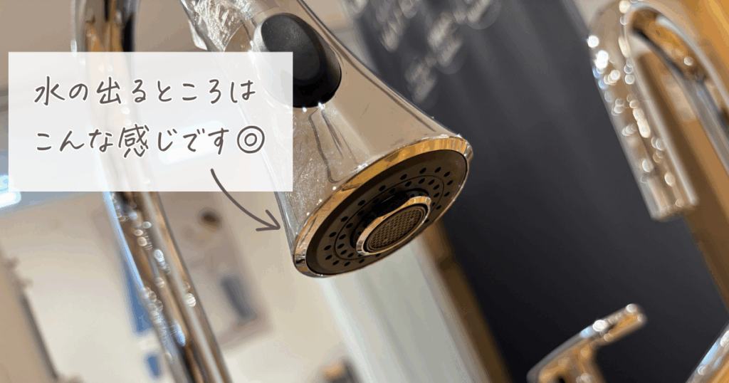 ウォータースタンド オリジナル水栓:11,000円タイプの先端を写した画像